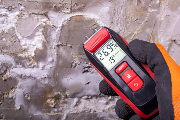  Mercer Island, WA Mold Removal Pros
