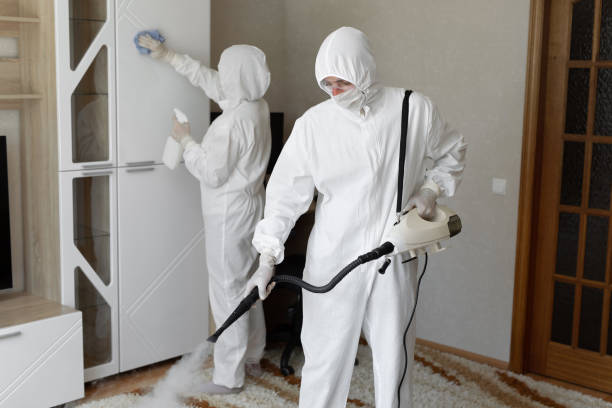 Best Crawl Space Mold Removal  in Mercer Island, WA