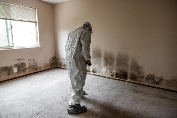 Best Water Damage Restoration  in Mercer Island, WA